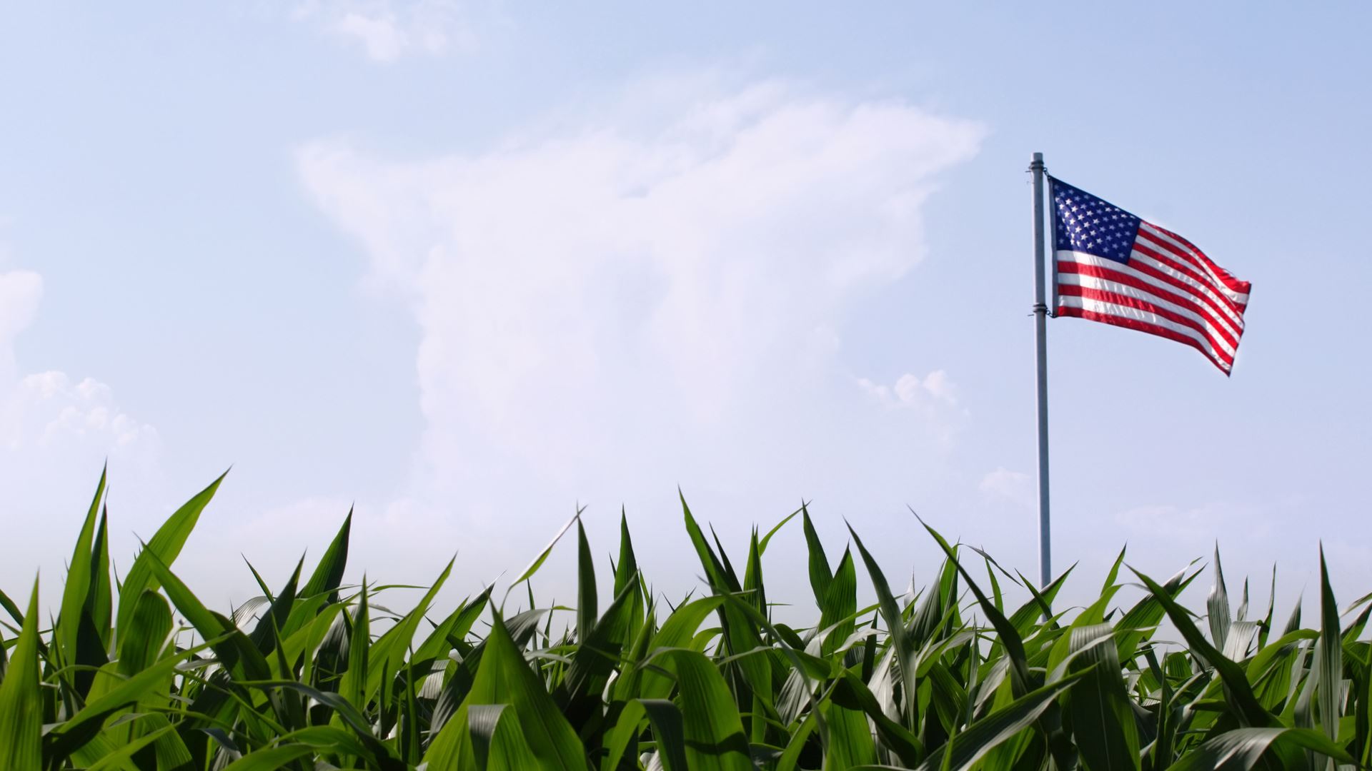 Farm field with american flag in blue sky