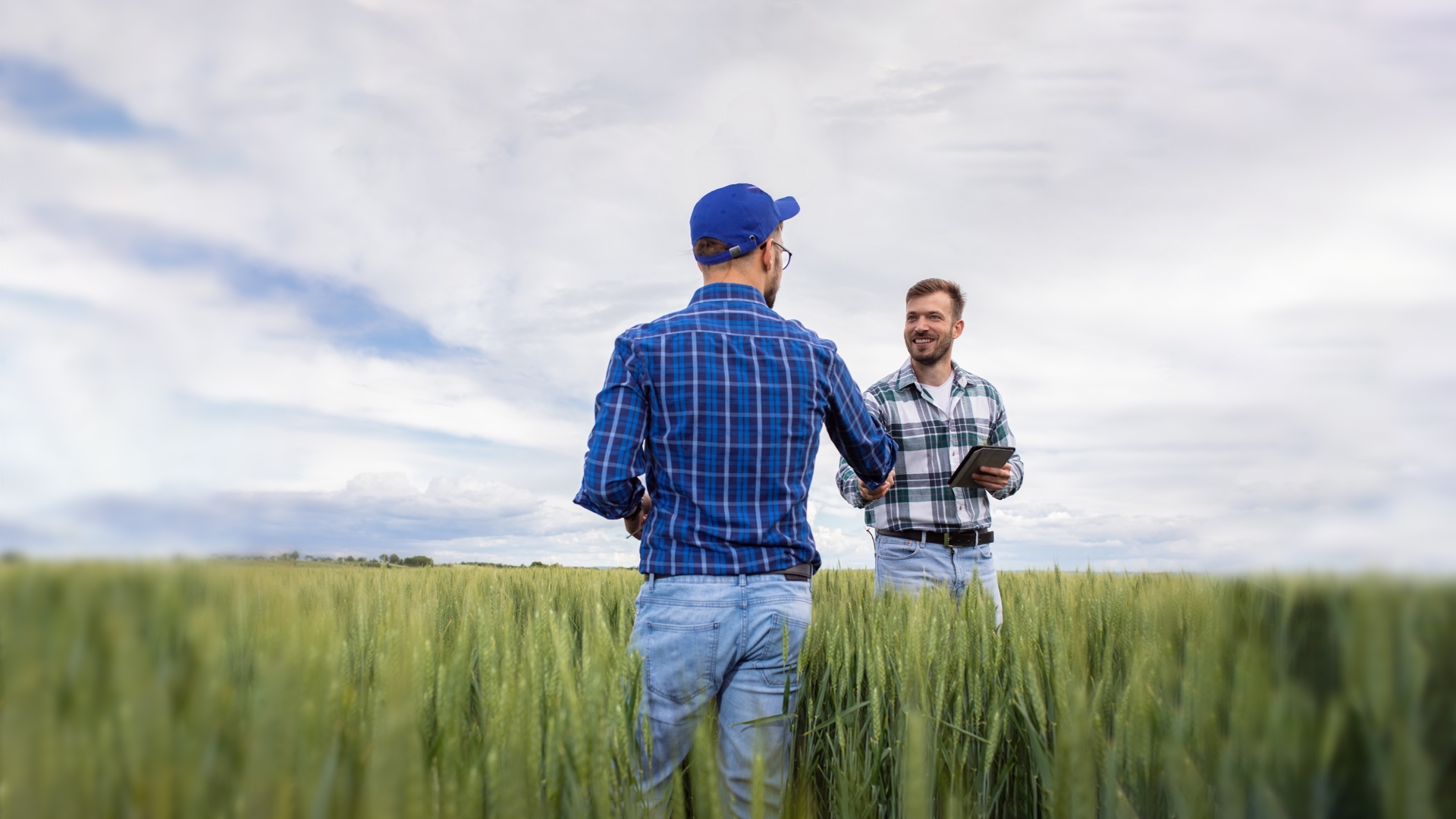 two farmers shaking hands in a field